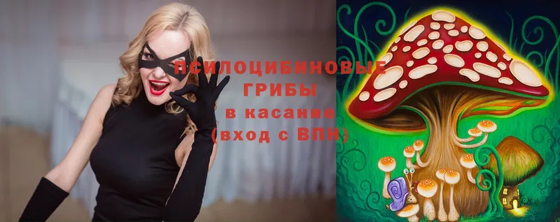 Псилоцибиновые грибы Magic Shrooms Михайловка